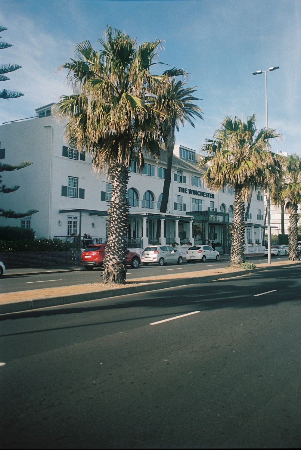 a street with palm trees and a building in the background