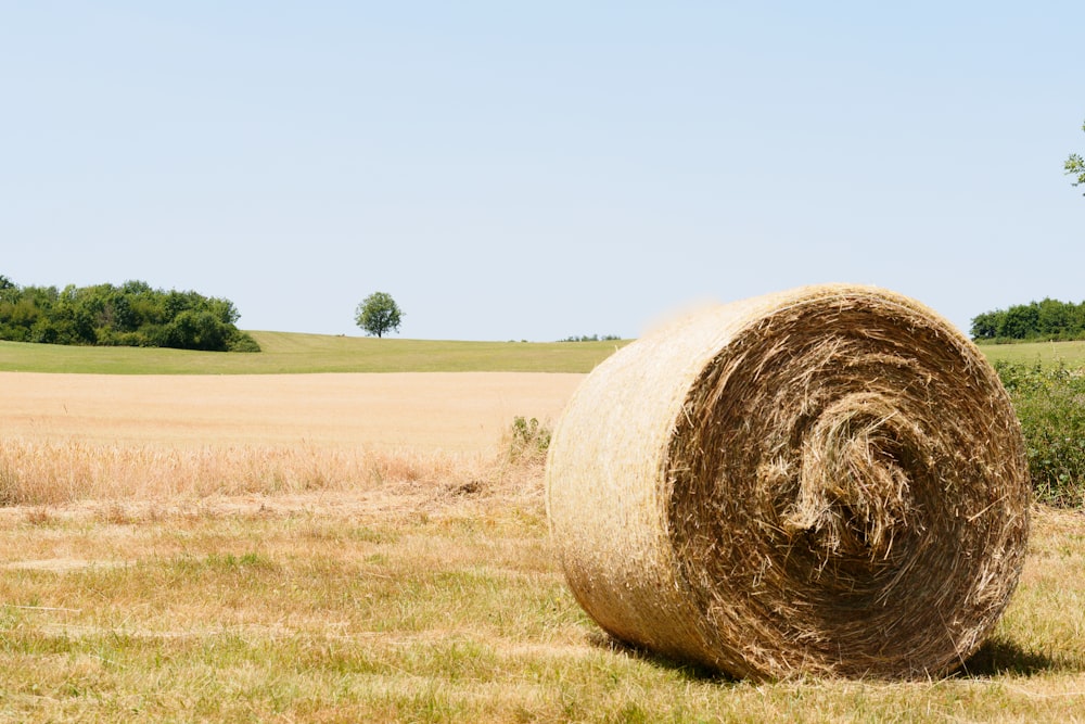 Una paca de heno en un campo