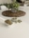 A white scoop filled with a fine greenish-brown powder is placed on a plain white surface. Nearby, there is a small white dish containing several green capsules. In the blurred background, a potted plant sits on a woven mat, adding a touch of greenery to the scene.