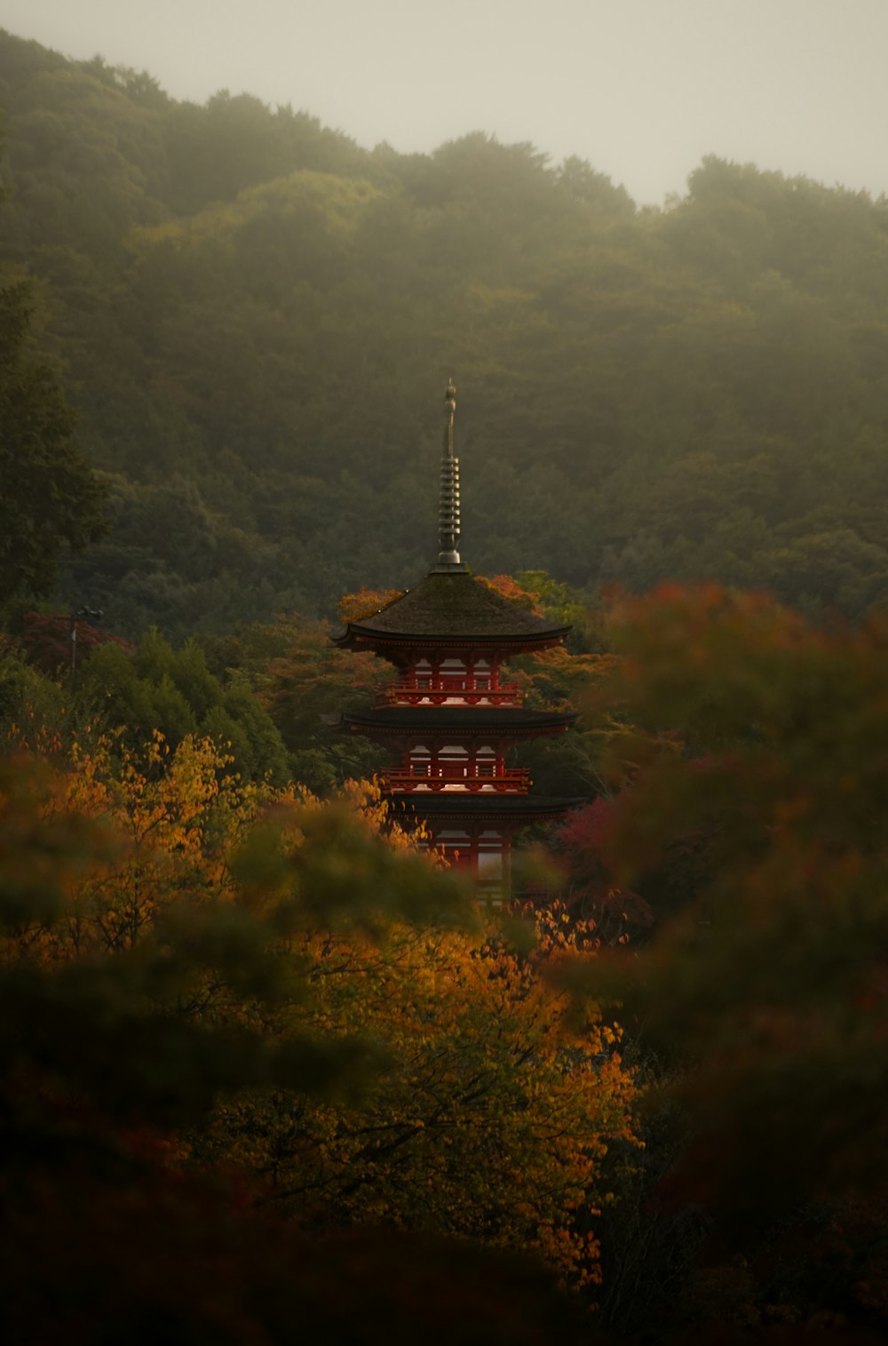 a pagoda in the middle of a forest
