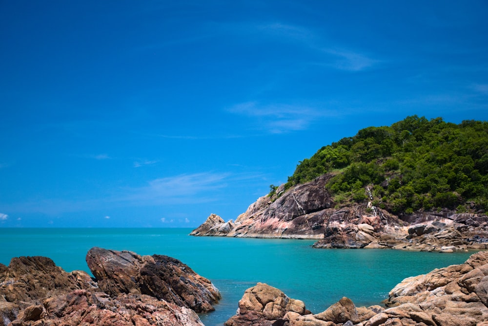 a rocky beach with trees and blue sky