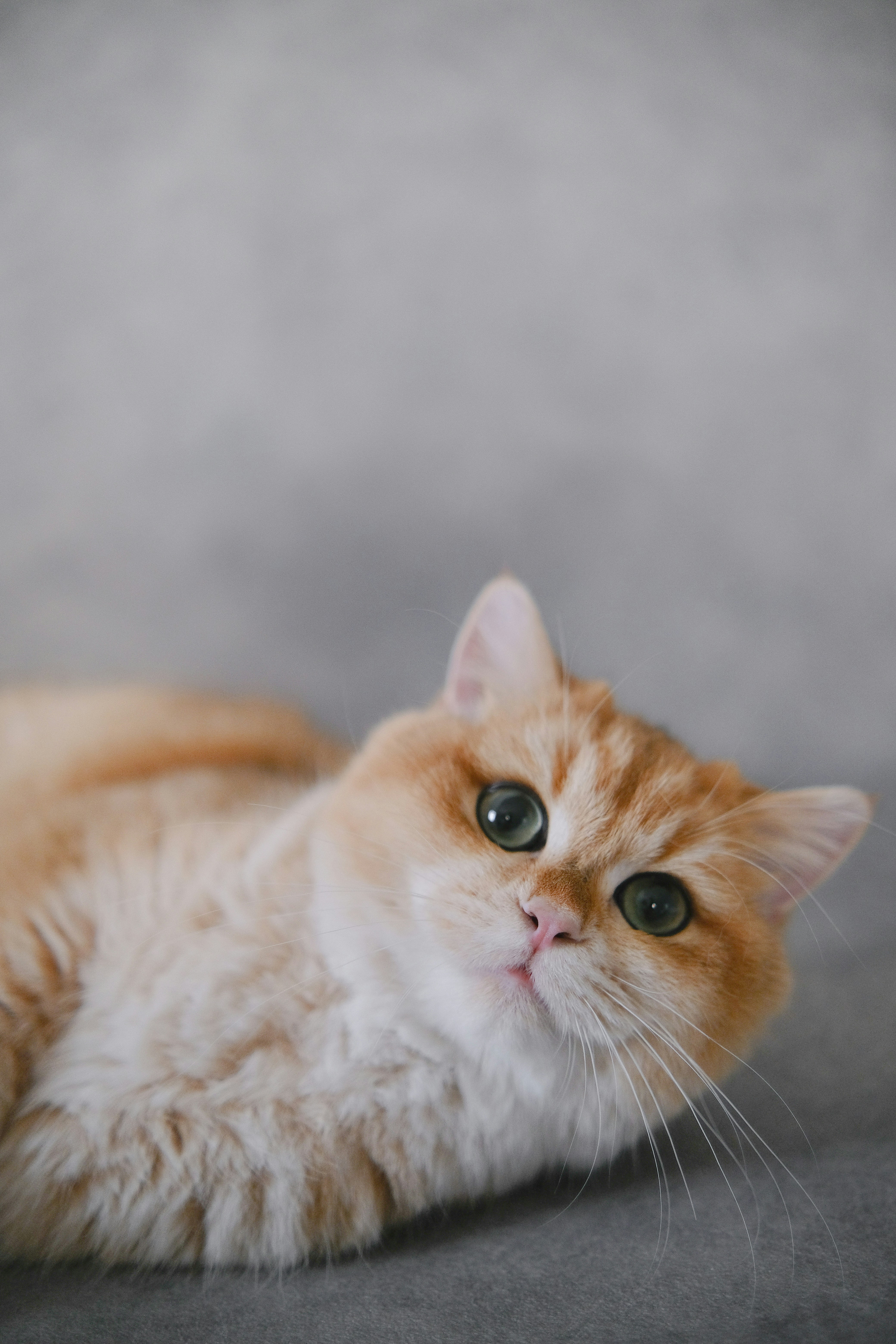 Photo by feyzayildirim