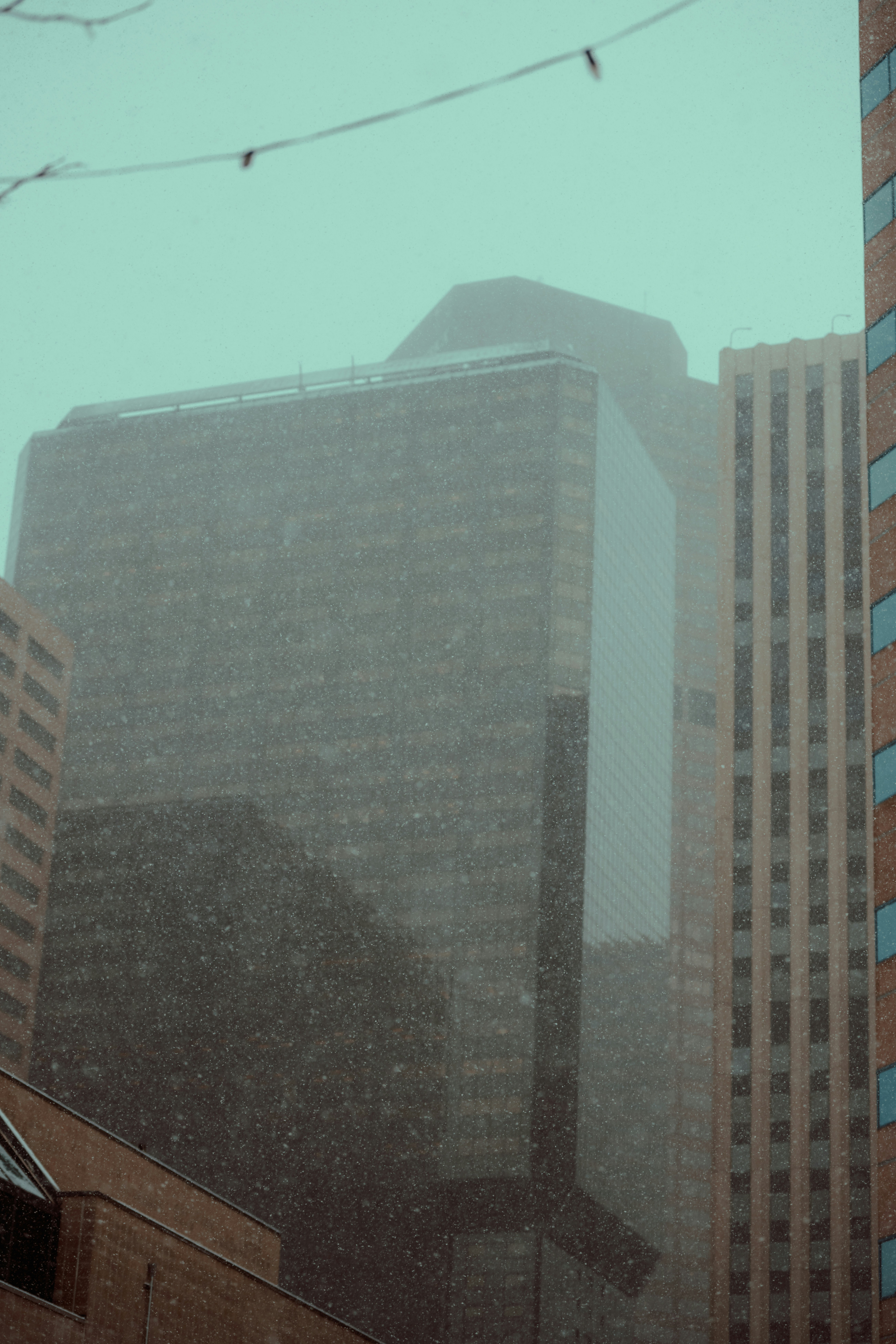 Photo by onthesearchforpineapples