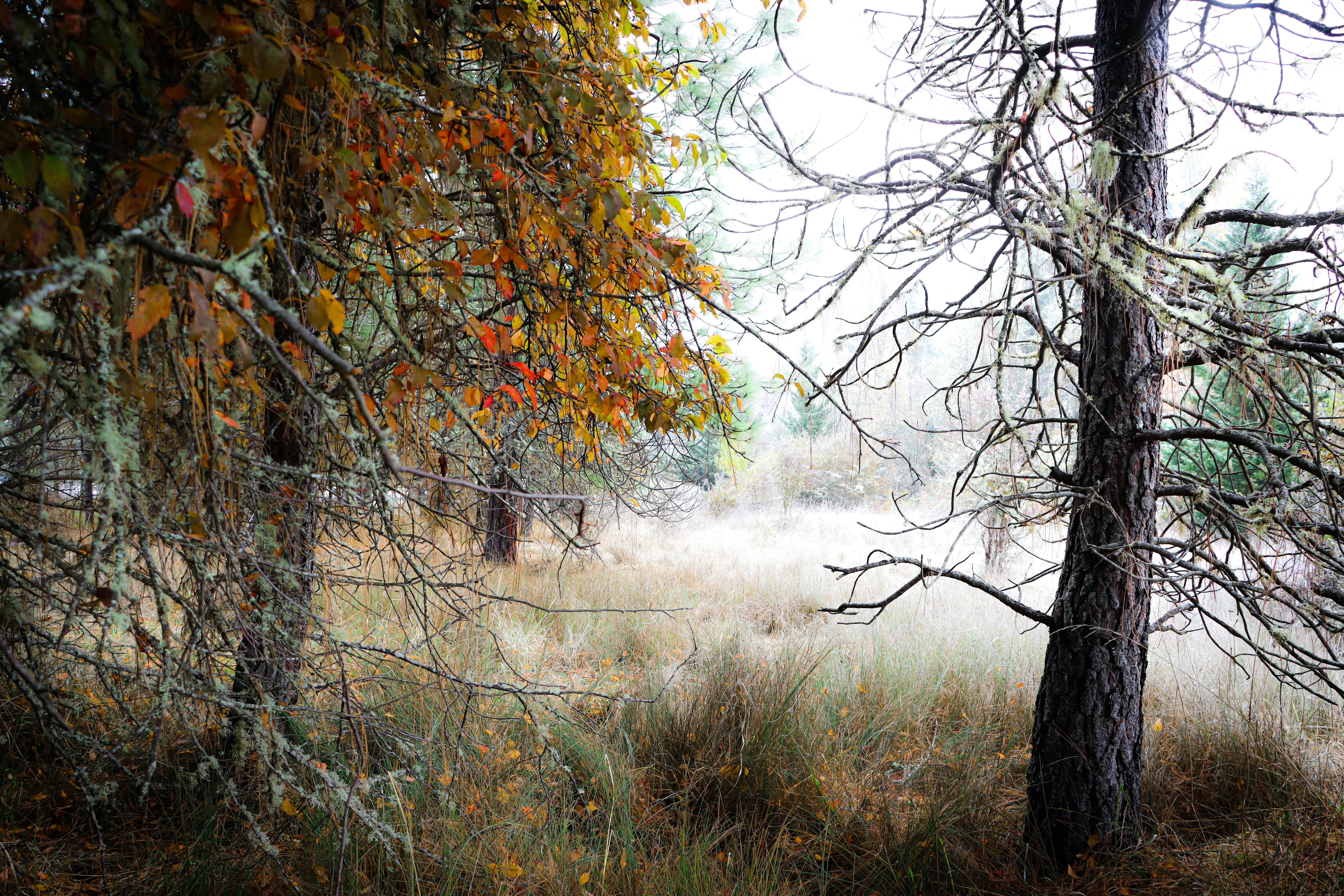 Photo by davidjboozer