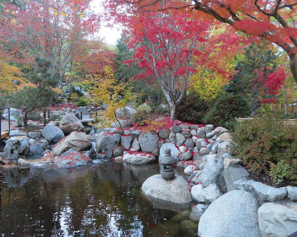 un arroyo con rocas y árboles a su alrededor