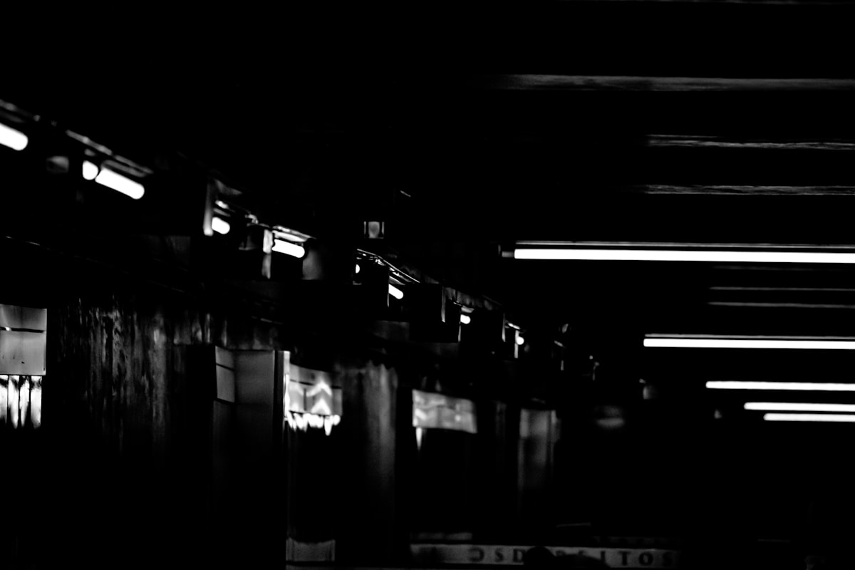 server lights