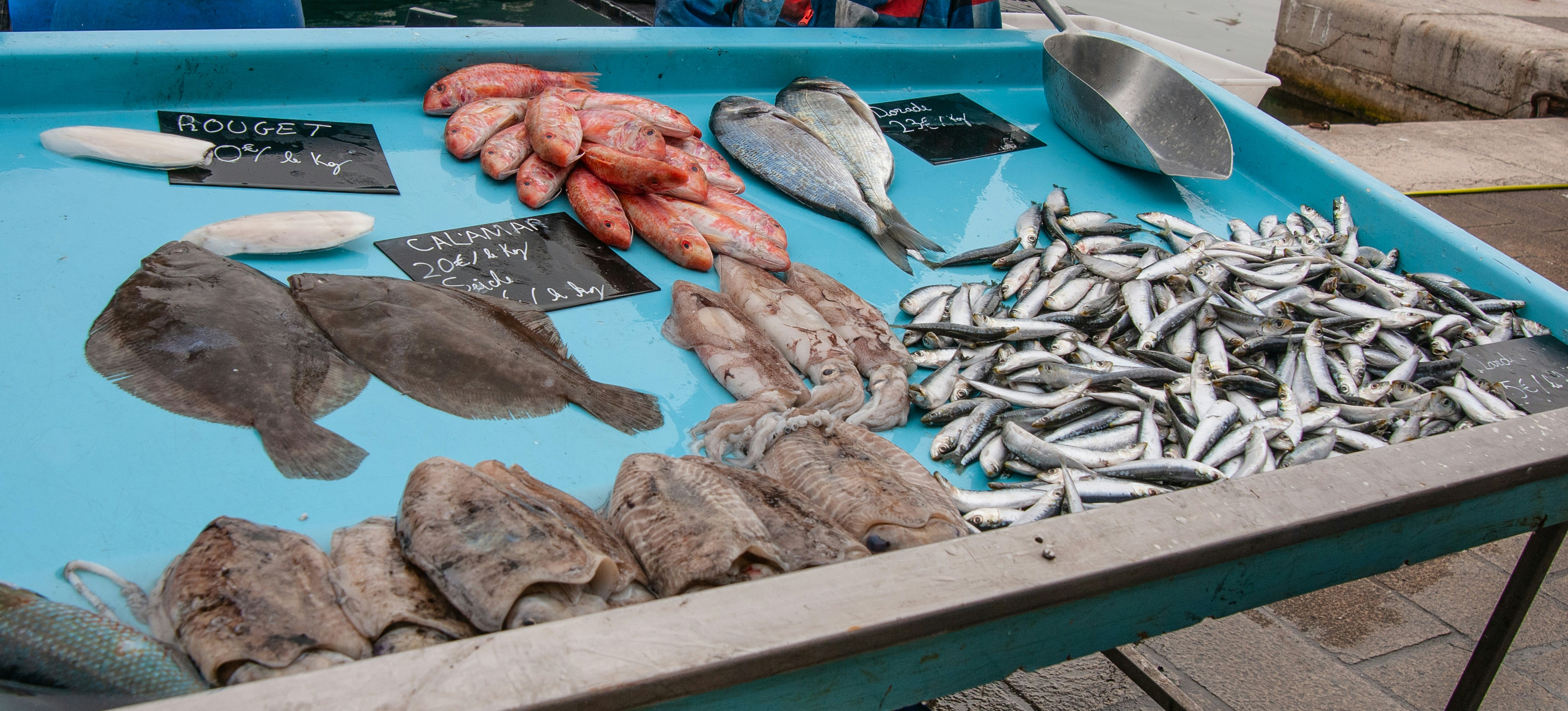 Photo by nataliaraylenegusakova