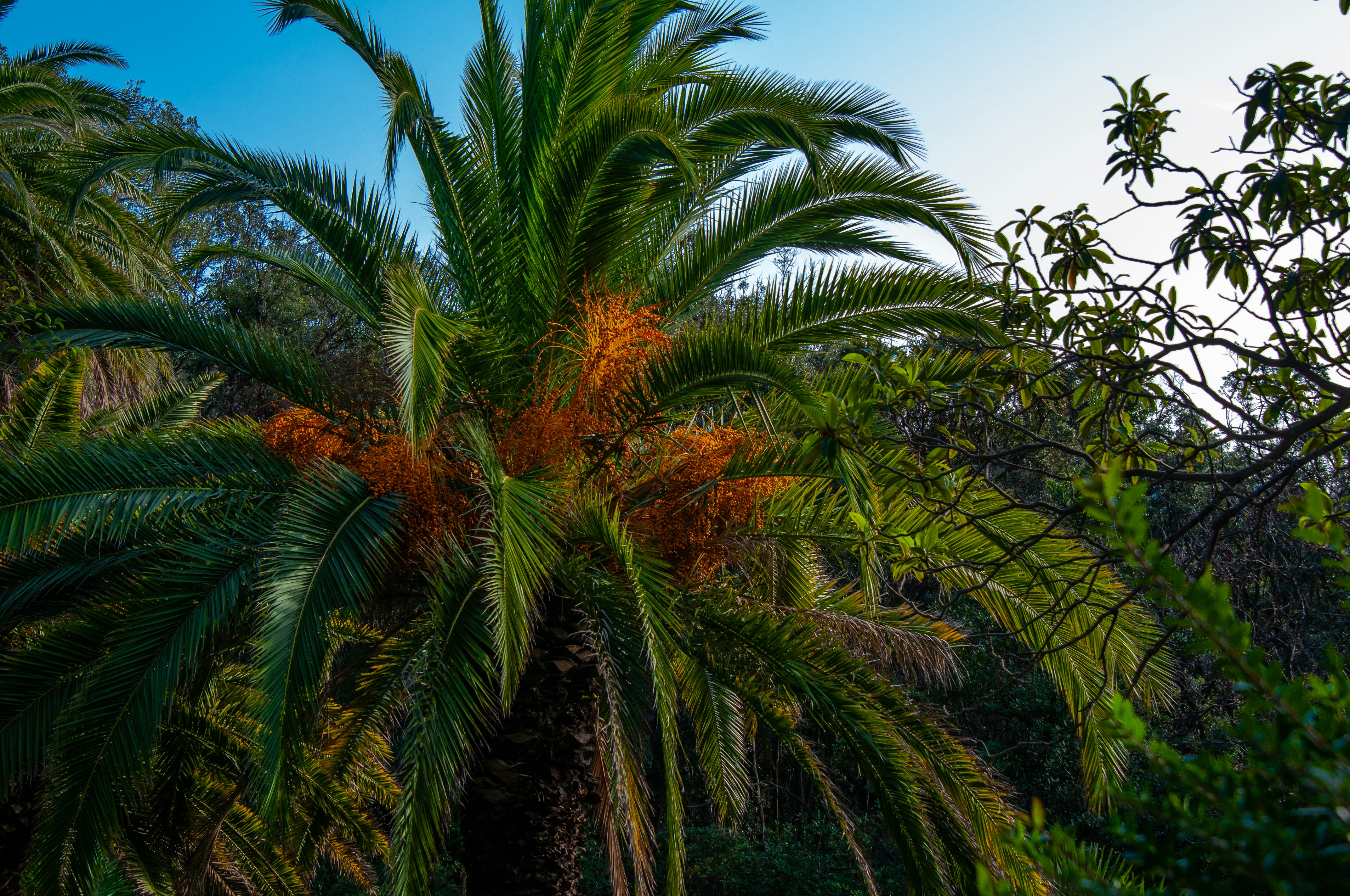 Photo by nataliaraylenegusakova