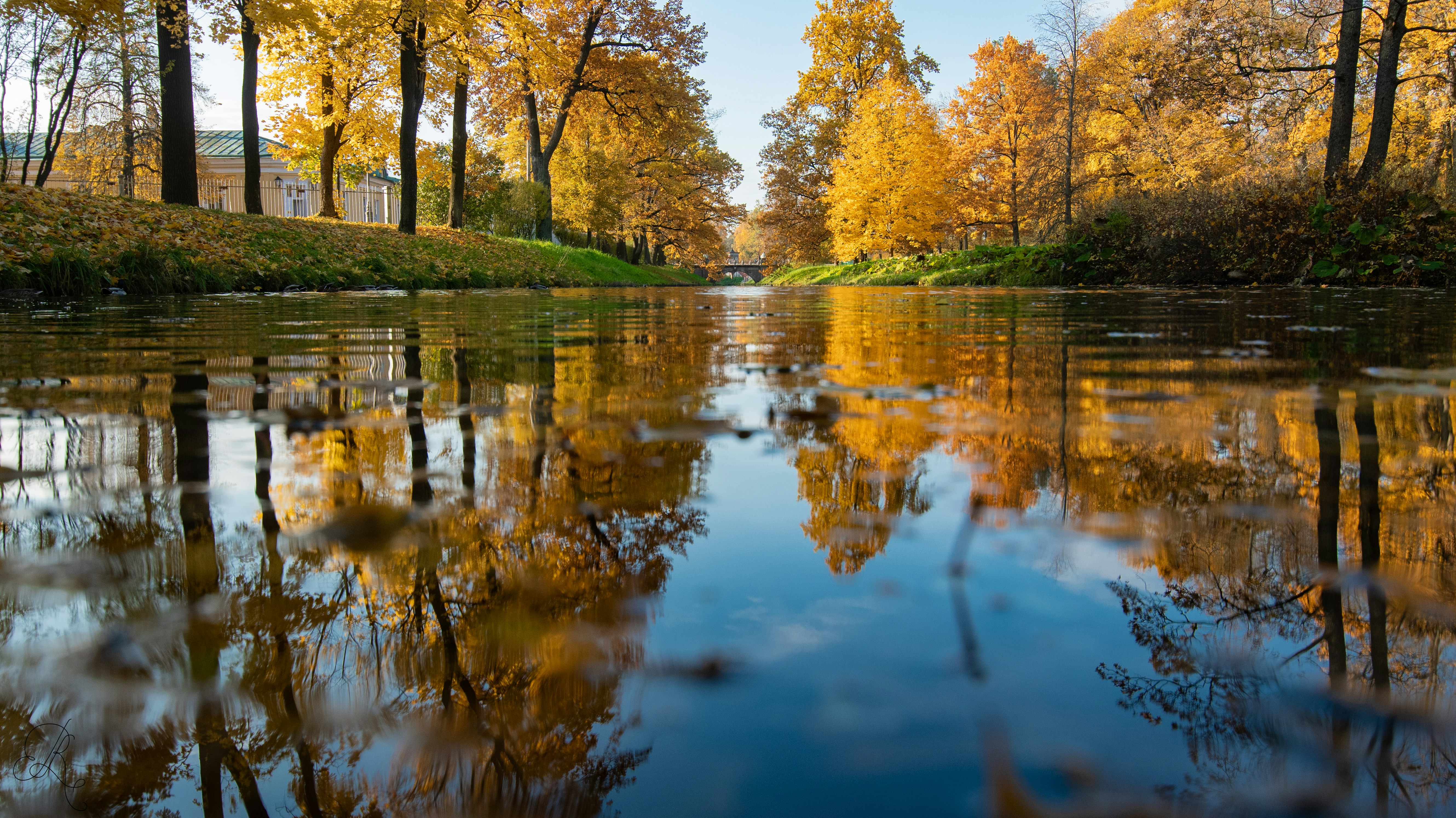 Photo by nataliaraylenegusakova