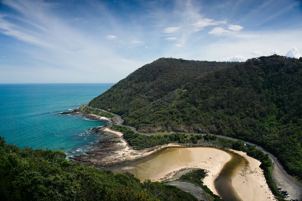 a beach with a hill and trees