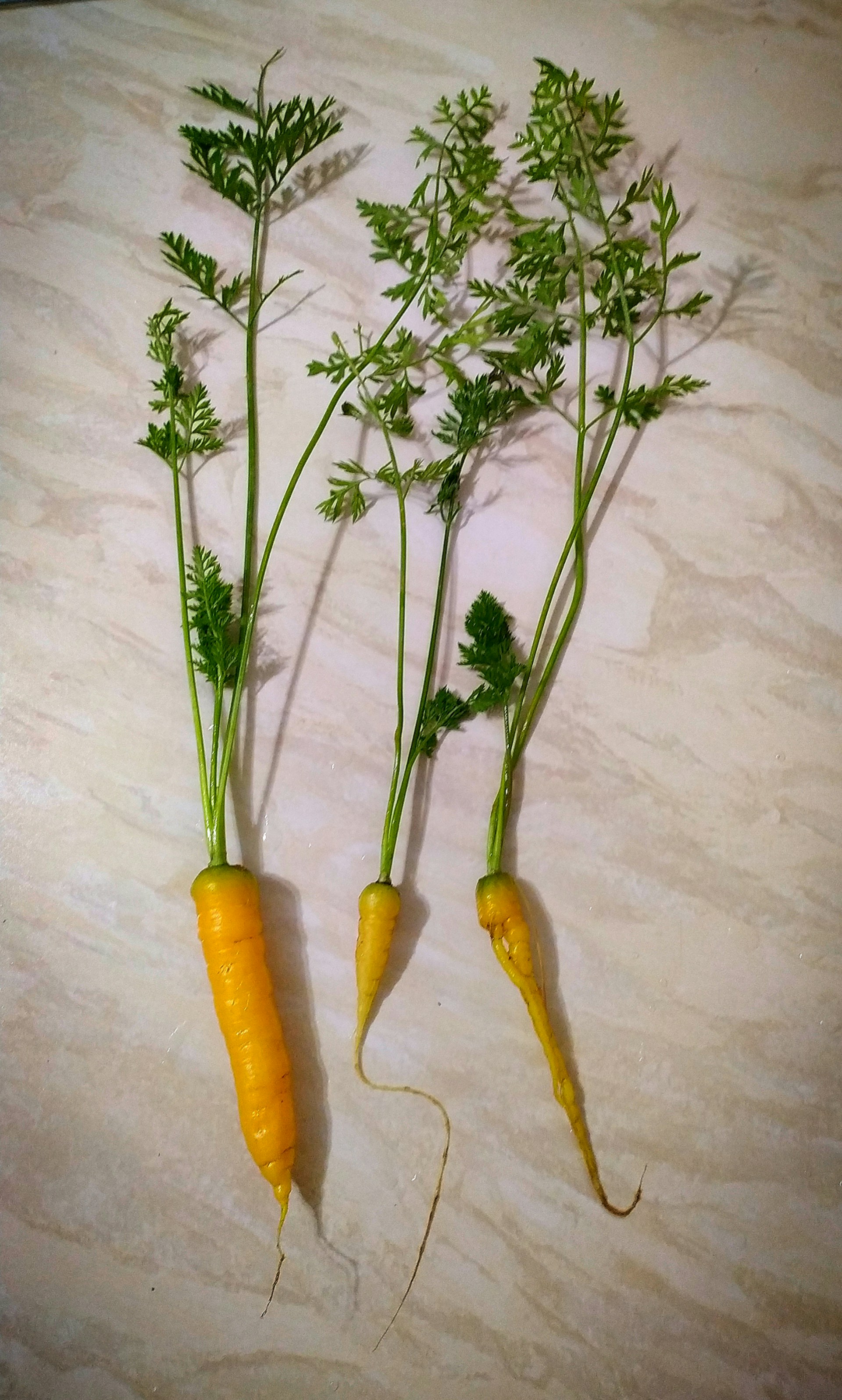 woman wearing yellow long-sleeved dress under white clouds and blue sky during daytime