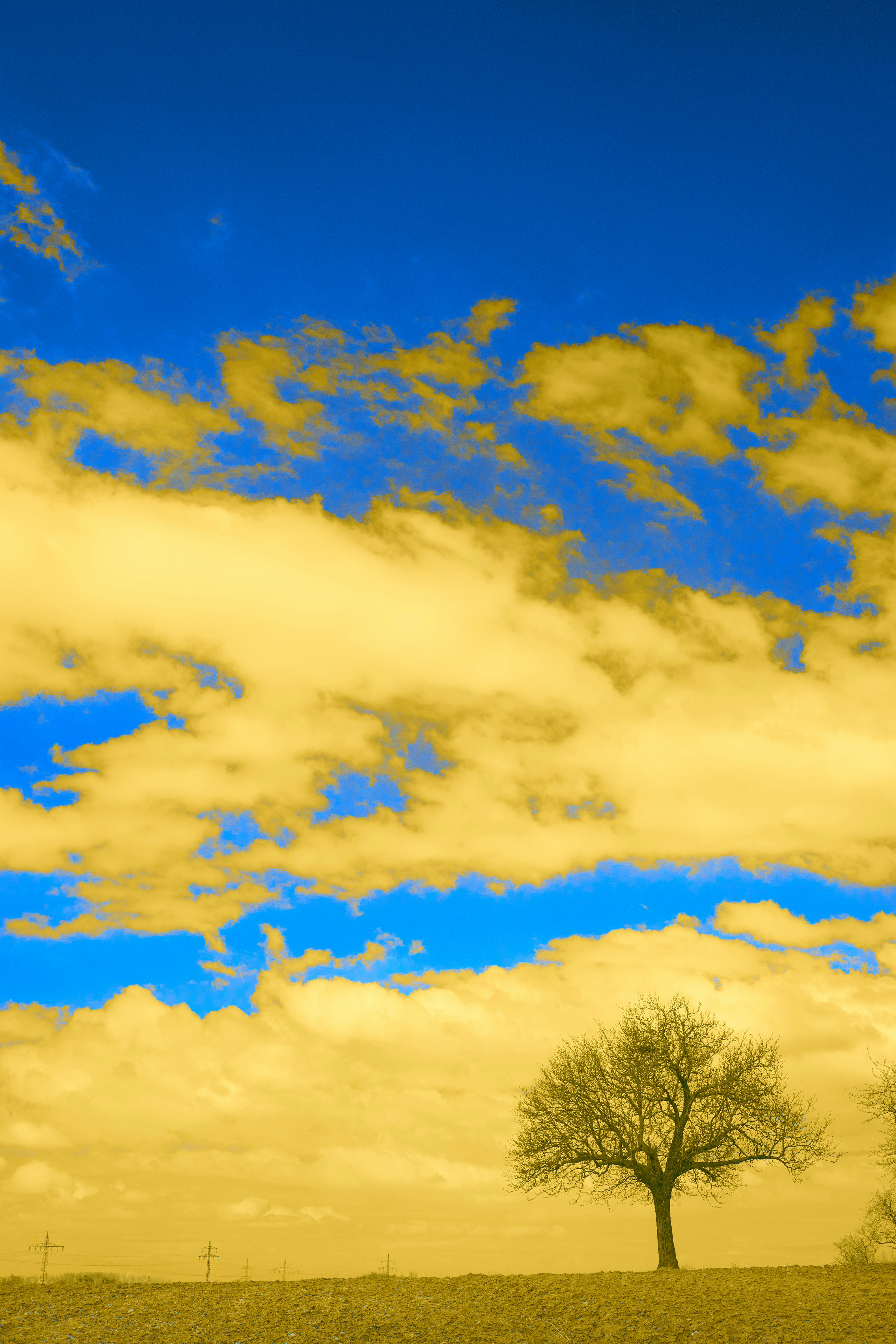 Photo by wolfgang_hasselmann