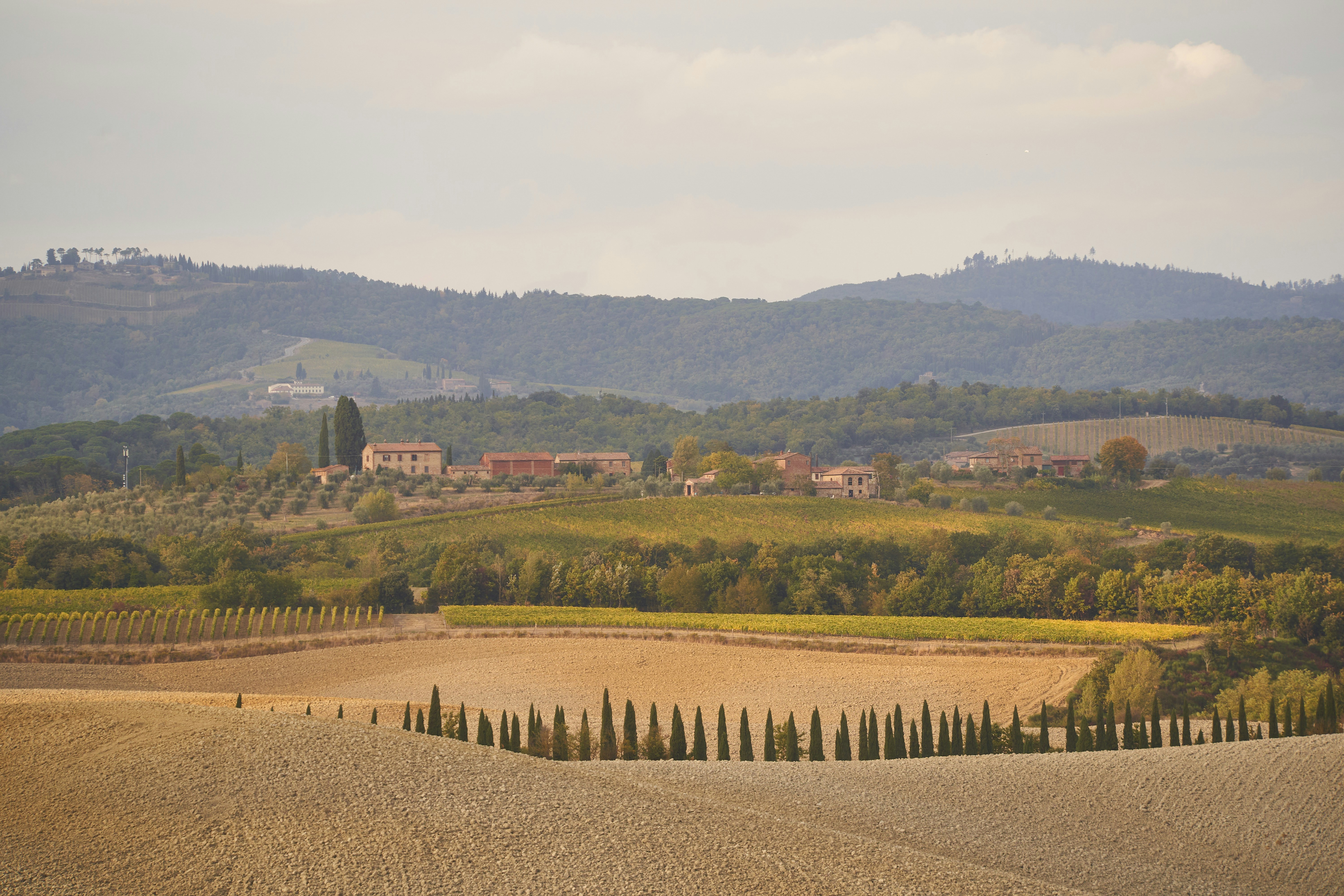 Photo by wolfgang_hasselmann