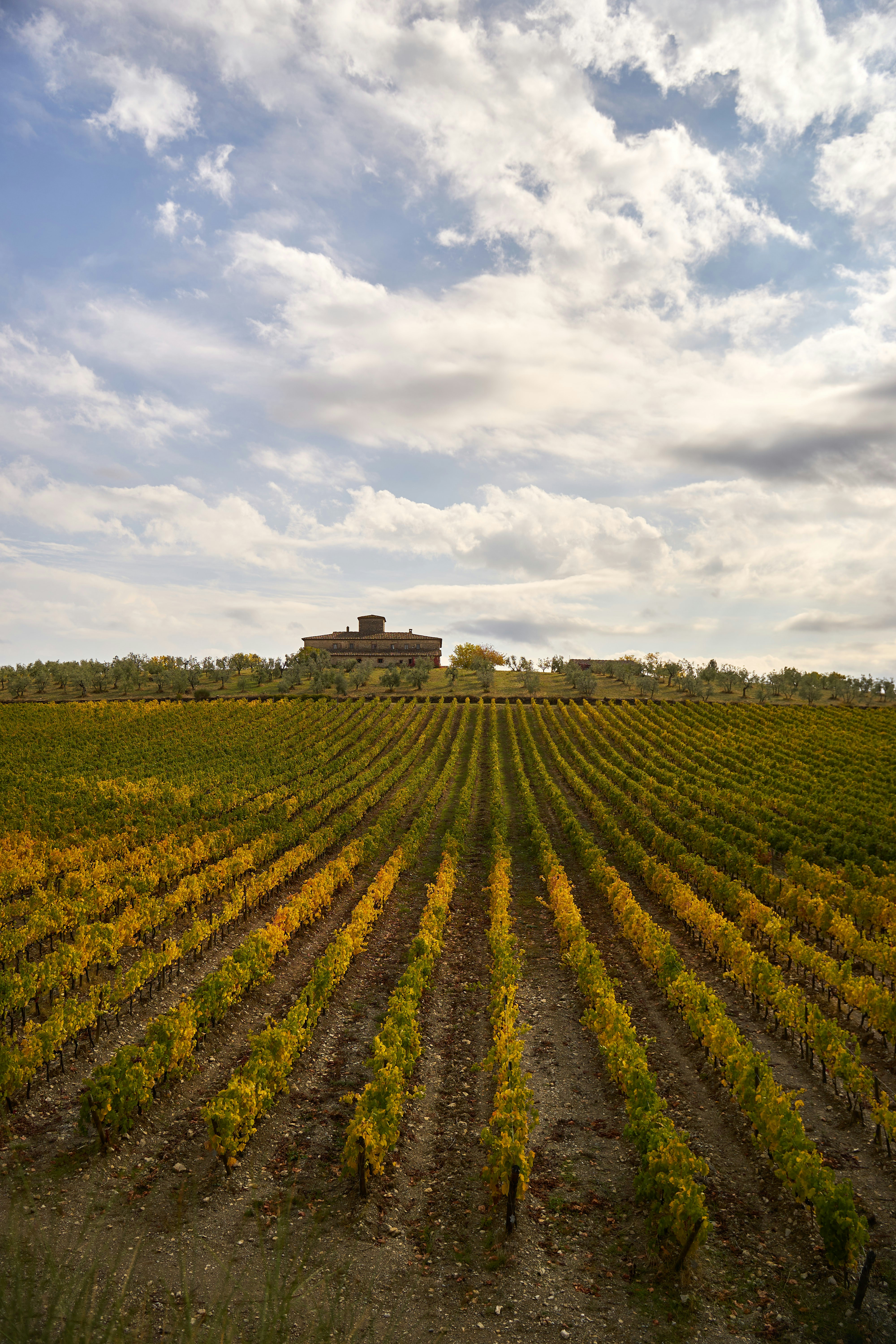 Photo by wolfgang_hasselmann