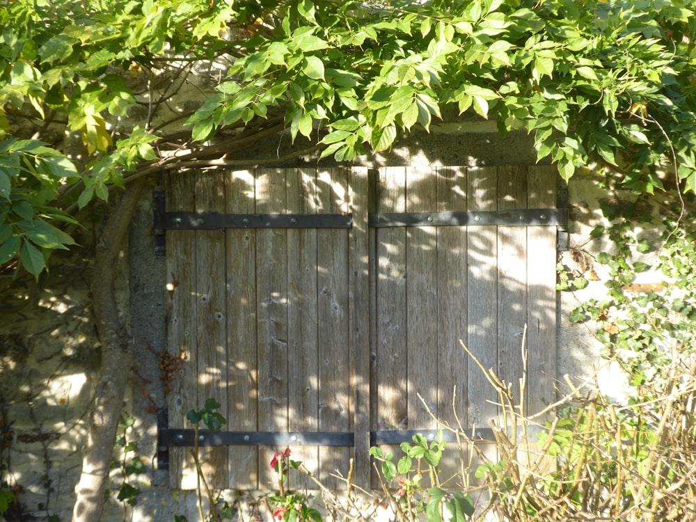 a gate in a garden