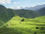 a valley with mountains in the background