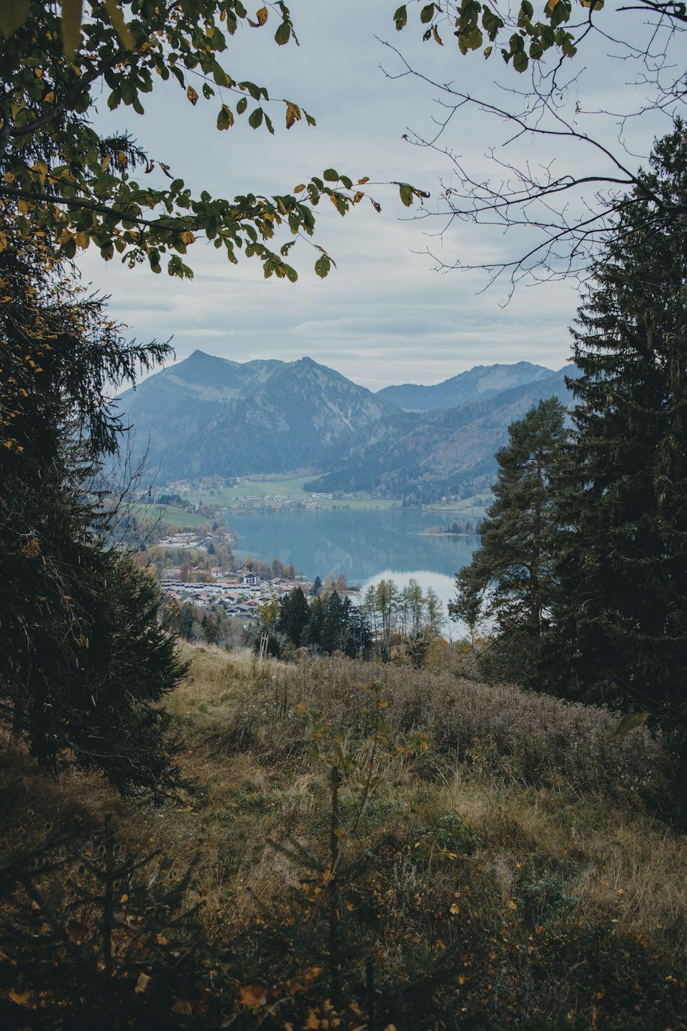 a view of a city and mountains