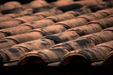 Rows of terracotta roof tiles are neatly aligned, with visible signs of weathering and aging. The tiles have a natural reddish-brown color with patches of dark discoloration, possibly due to moss or dirt.