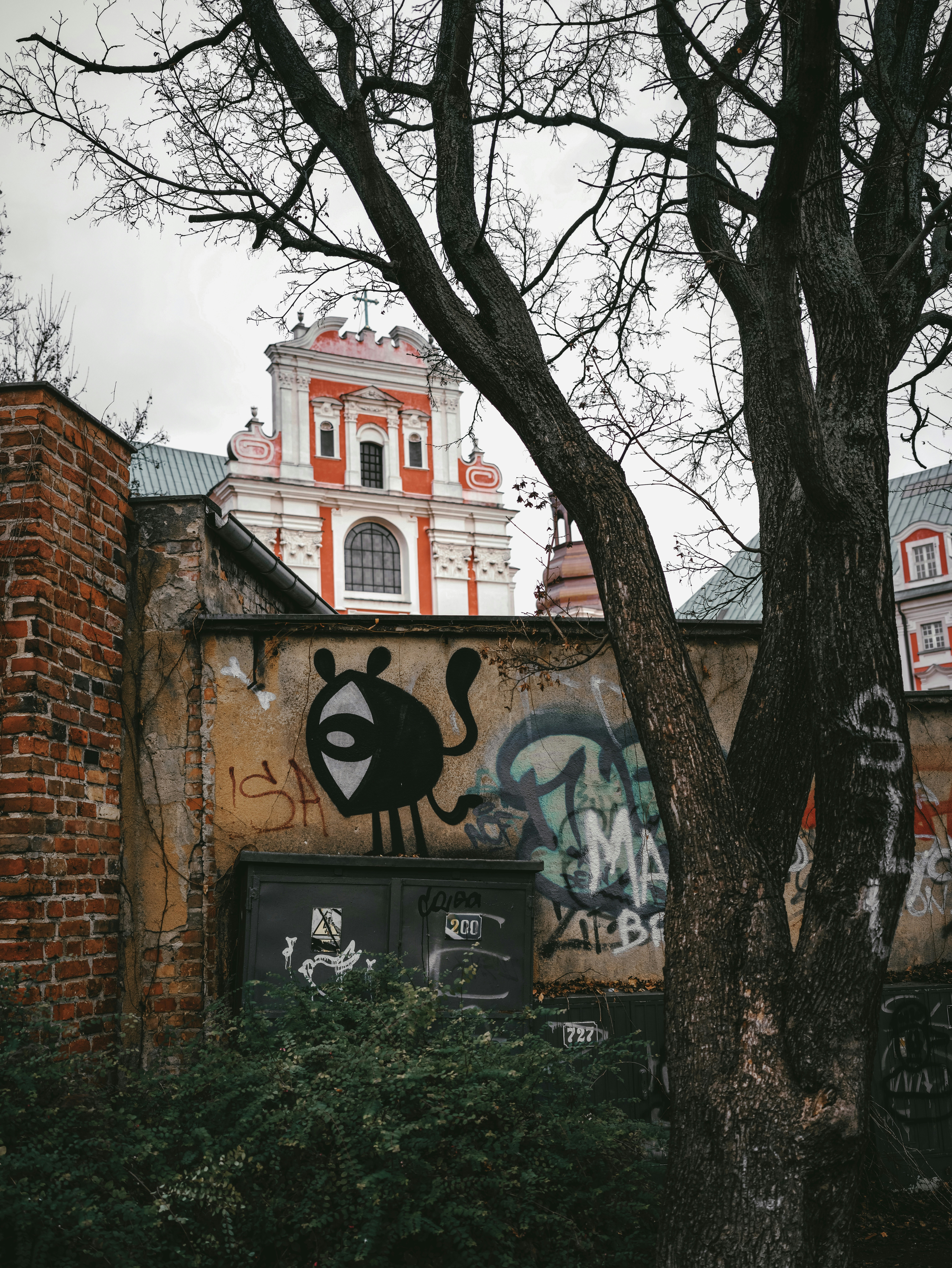A tree with graffiti on it photo – Free Building Image on Unsplash