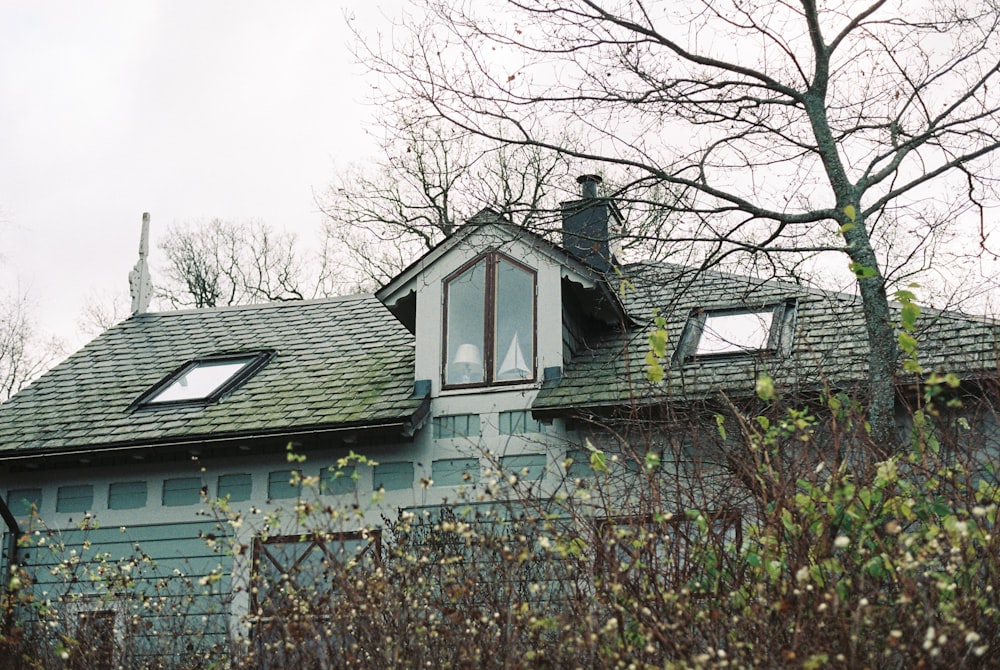 a house with a tree in front of it