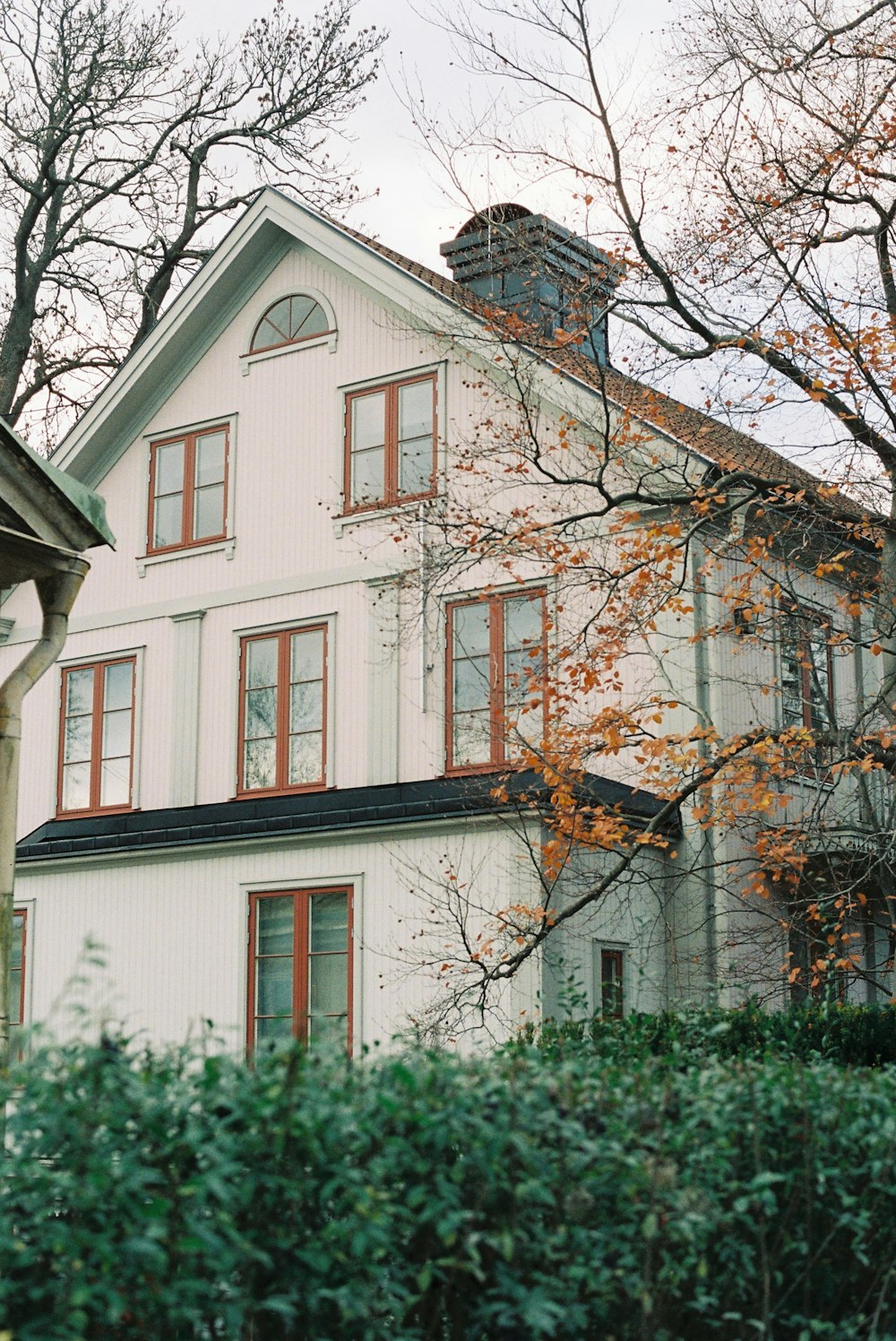 a large white house with trees in front of it