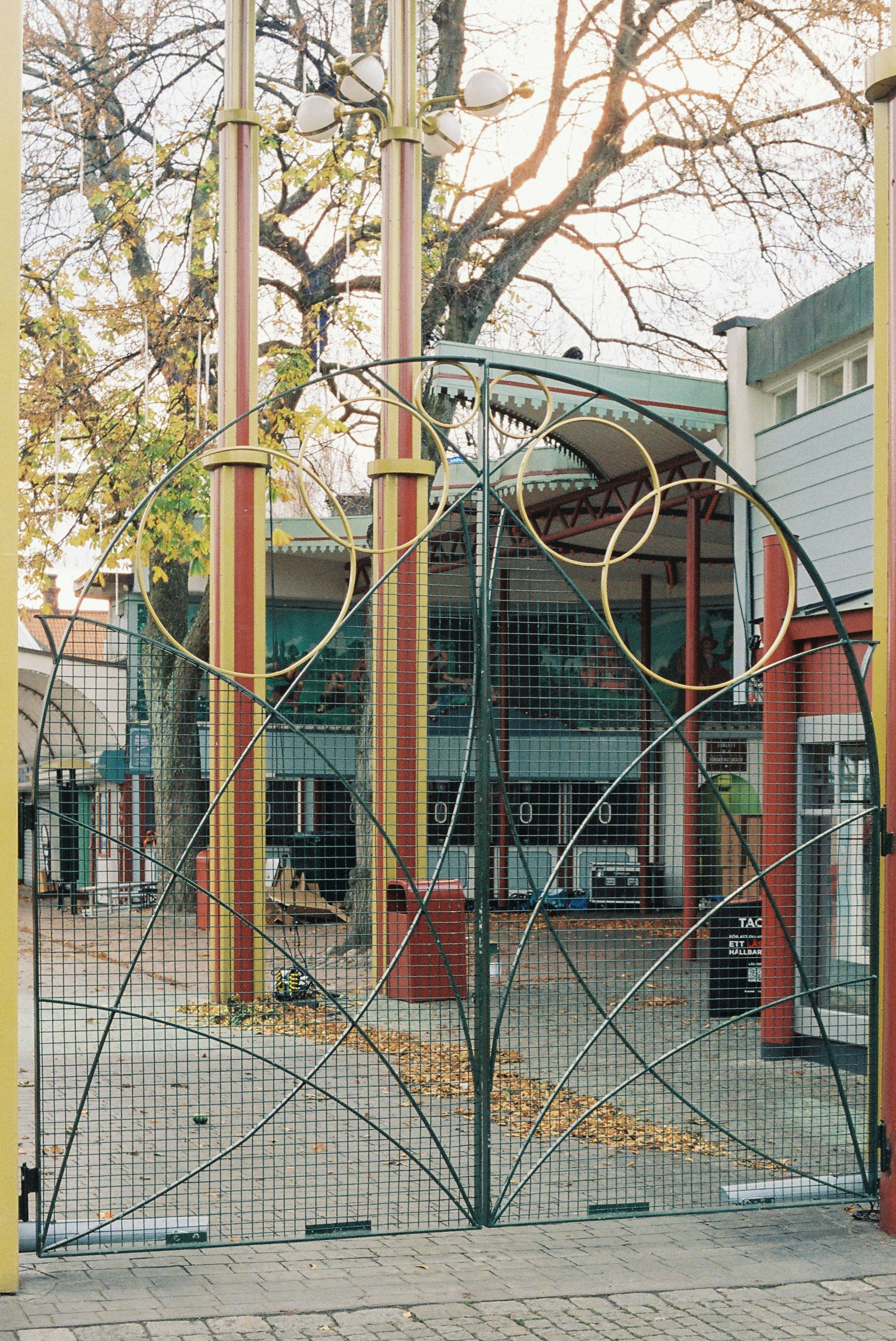 a dog in a play structure