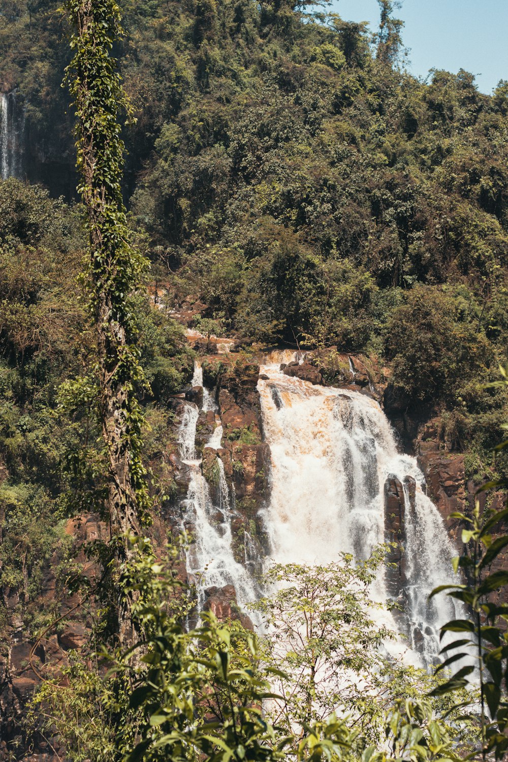 a waterfall in a forest