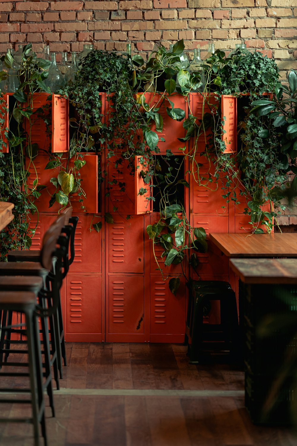 a door with plants growing on it