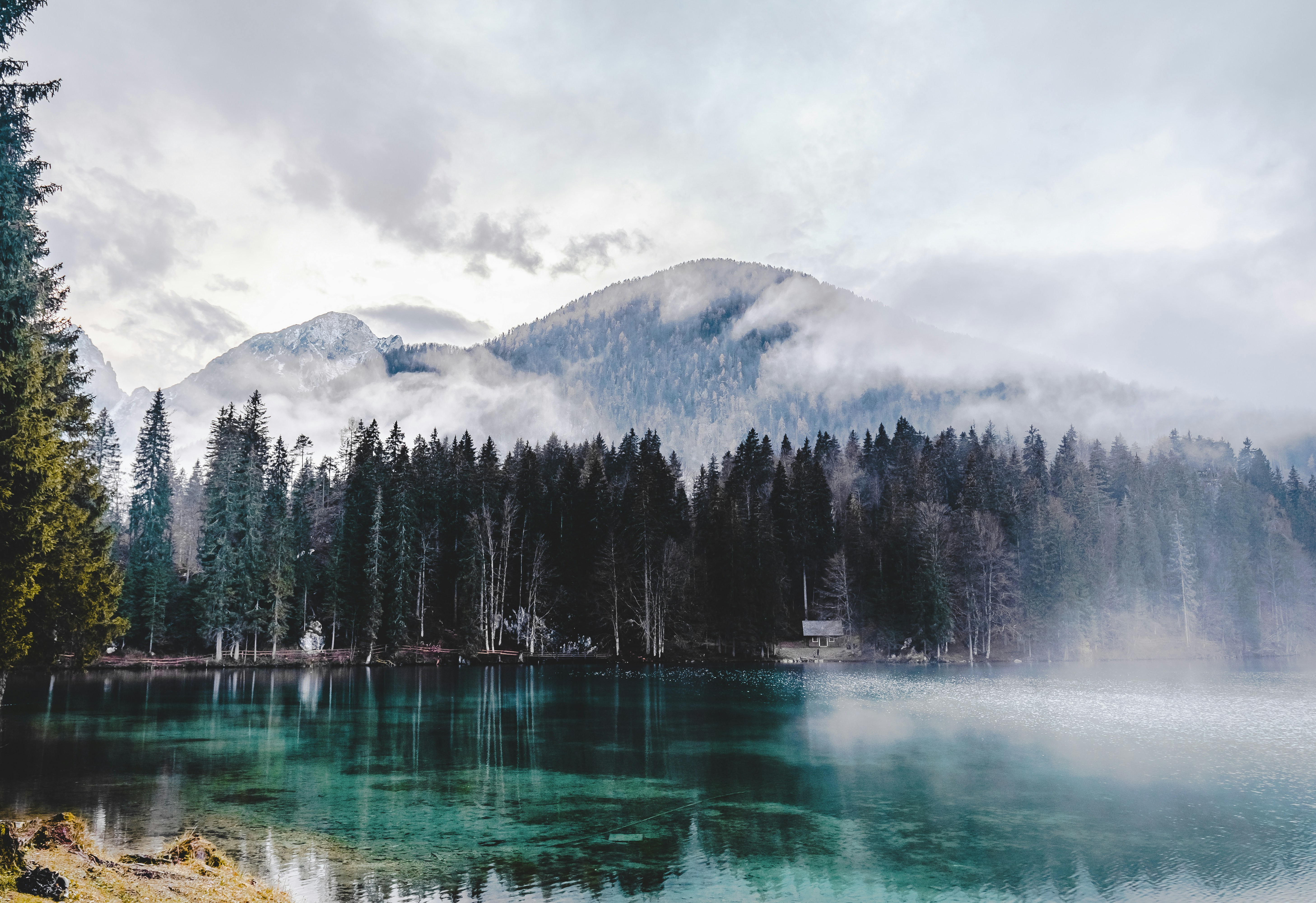 Photo by merlin_photo