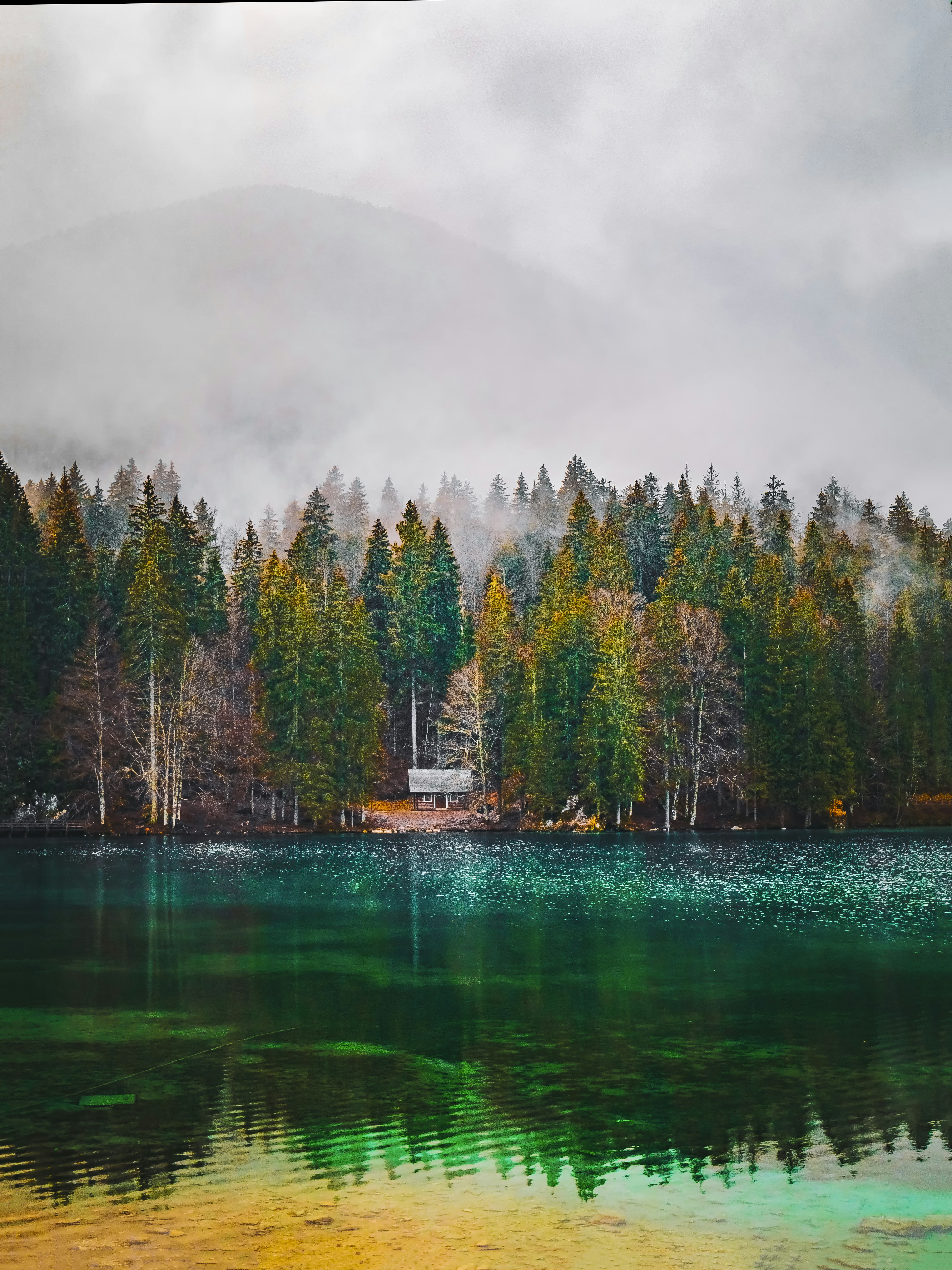 Photo by merlin_photo