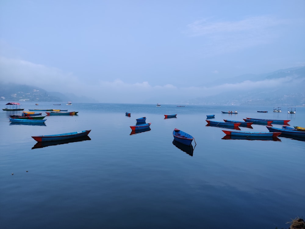 boats in the water