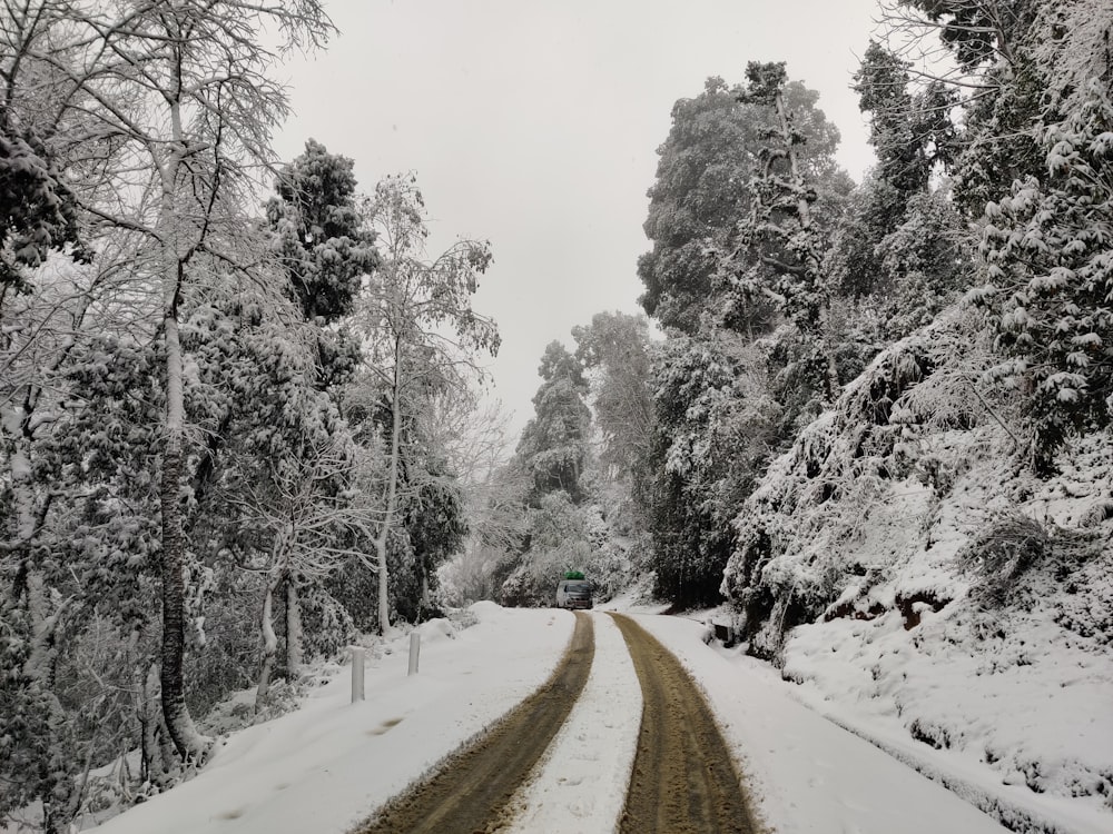 a road with snow on the side