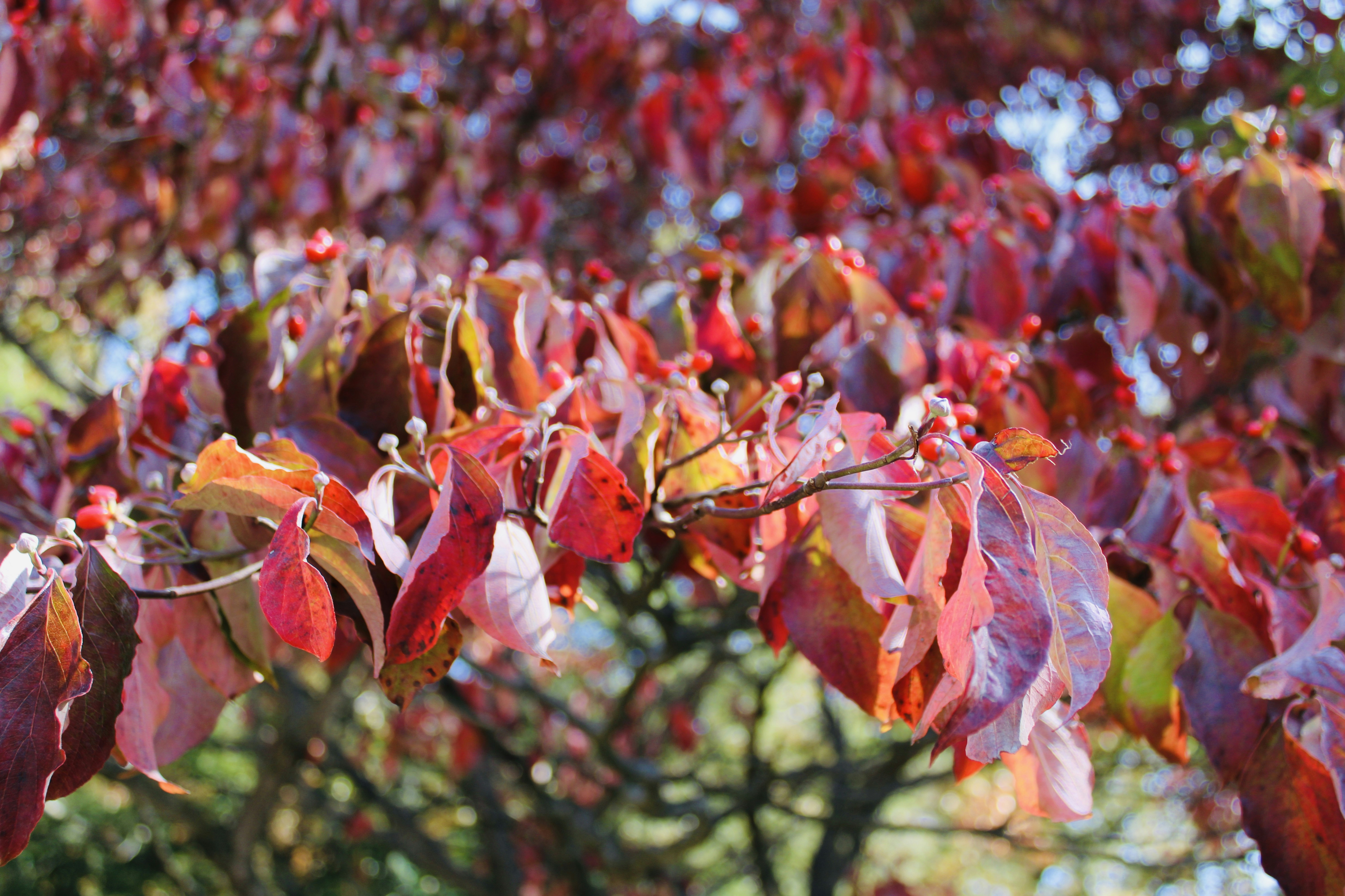 Photo by aubr33johnson