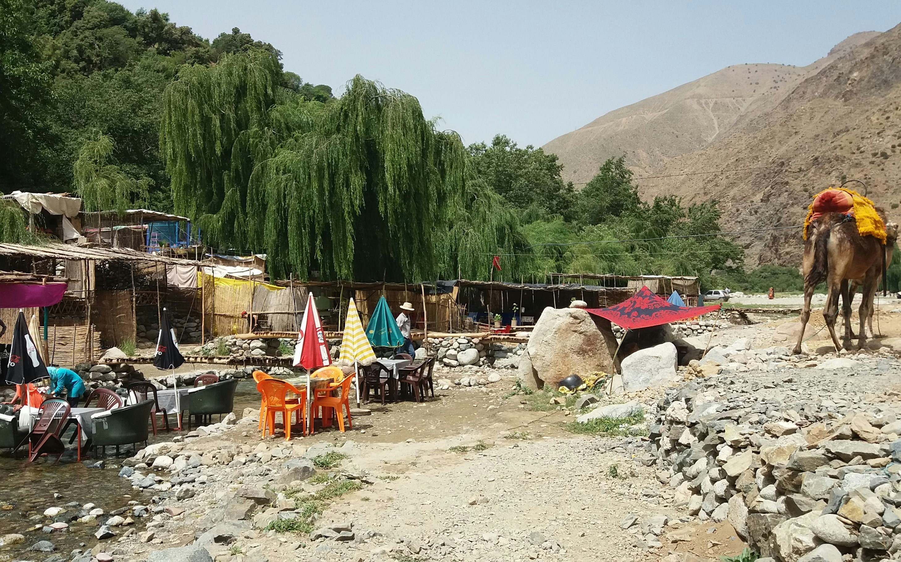 a horse and some tents, 