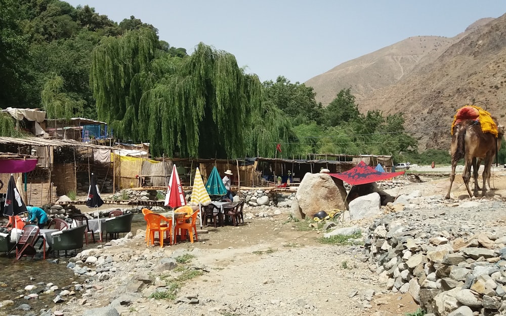 a horse and some tents