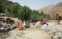 A rustic outdoor setting featuring a series of thatched huts beneath lush, green willow trees. Several tables and chairs with colorful umbrellas are arranged near a stream. A camel on the right carries a load, and the area is surrounded by rocky mountains.