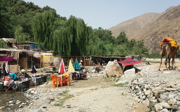 A rustic outdoor setting featuring a series of thatched huts beneath lush, green willow trees. Several tables and chairs with colorful umbrellas are arranged near a stream. A camel on the right carries a load, and the area is surrounded by rocky mountains.