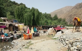 A rustic outdoor setting featuring a series of thatched huts beneath lush, green willow trees. Several tables and chairs with colorful umbrellas are arranged near a stream. A camel on the right carries a load, and the area is surrounded by rocky mountains.
