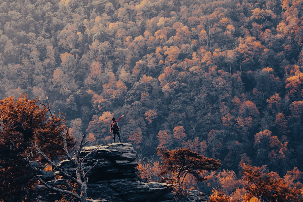 a person standing on a rock surrounded by trees
