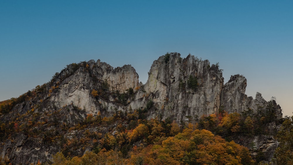 a rocky mountain with trees