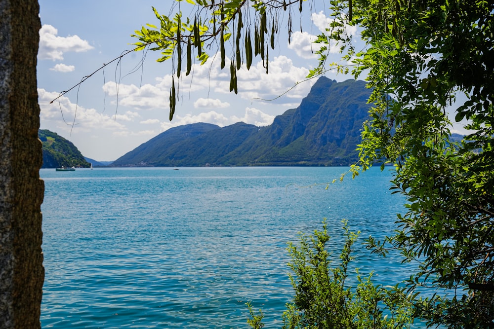 a body of water with trees around it and mountains in the background