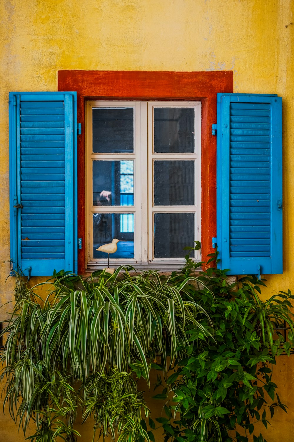 a window with blue shutters