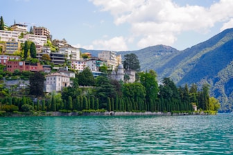 a body of water with buildings and trees by it