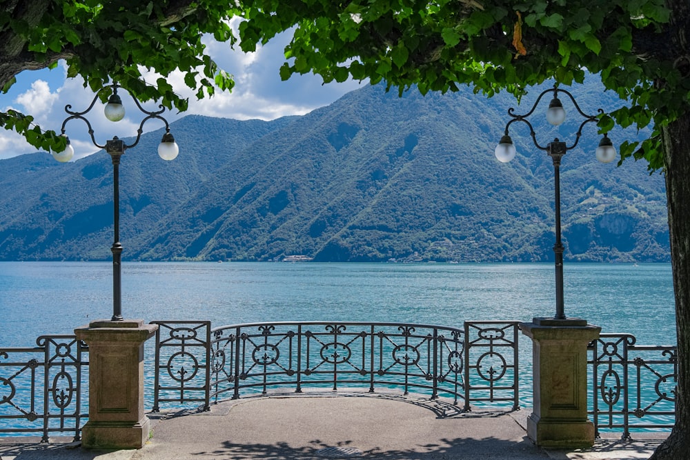 a body of water with trees and lights by it