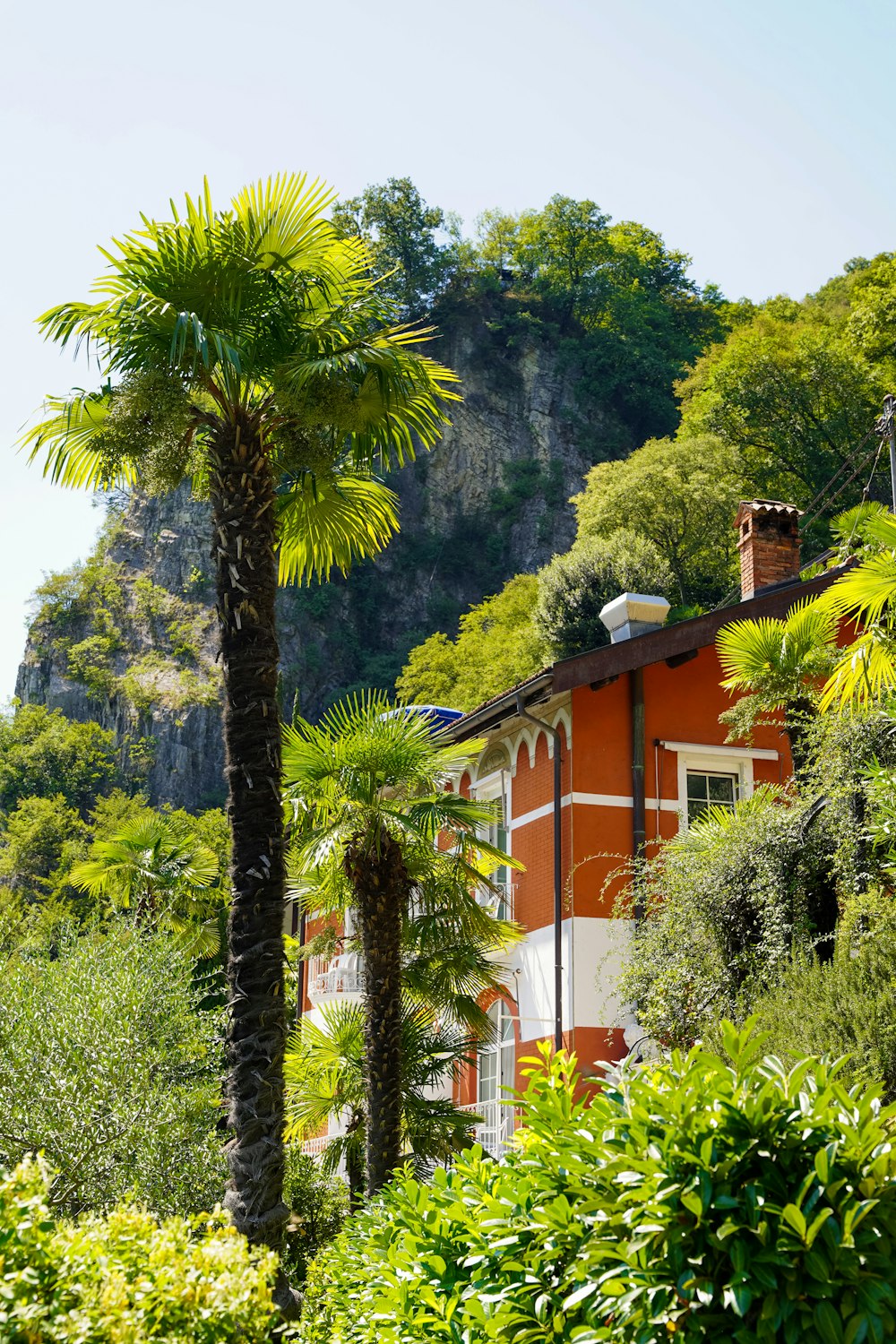 a house with trees around it