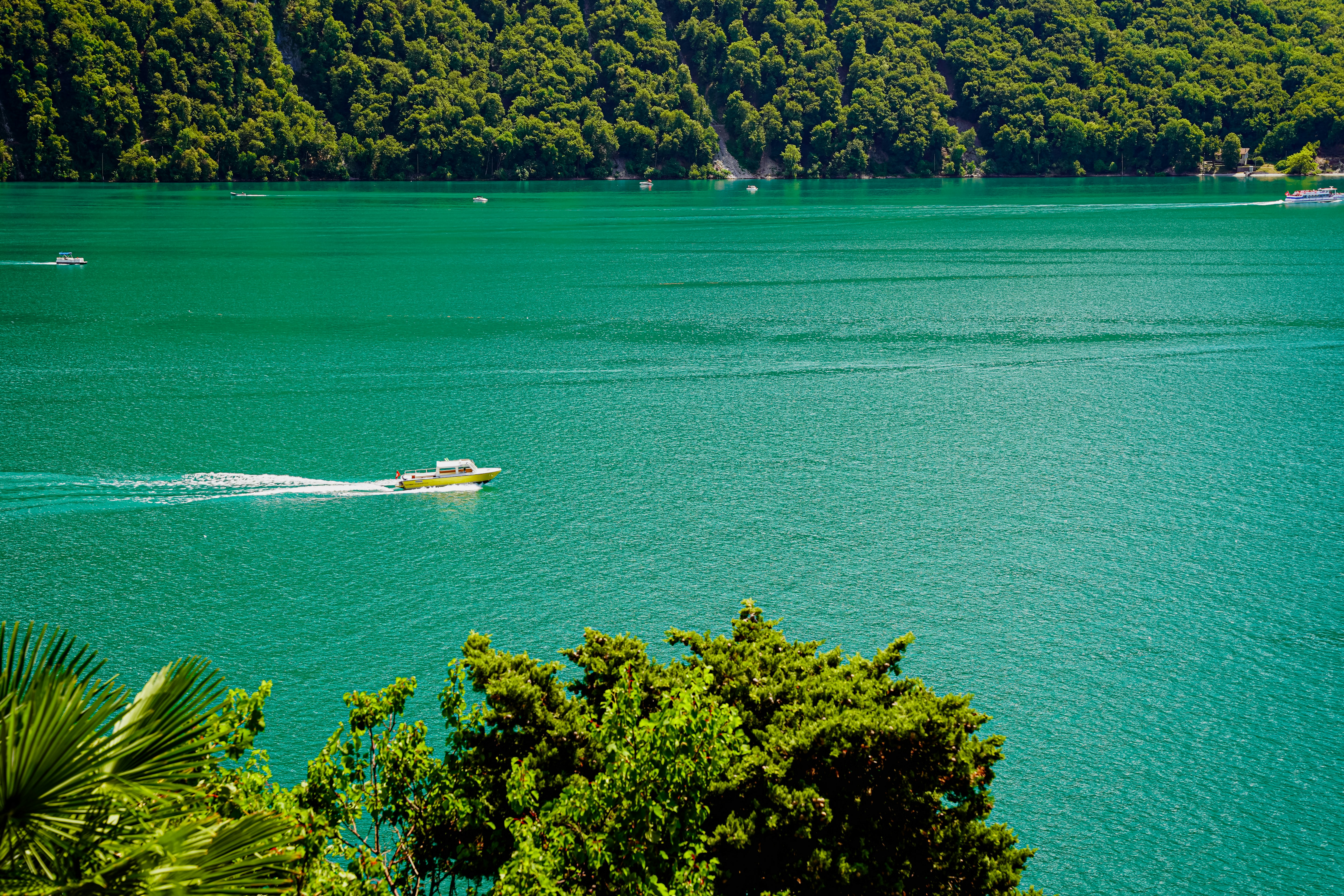 a group of boats on a body of water