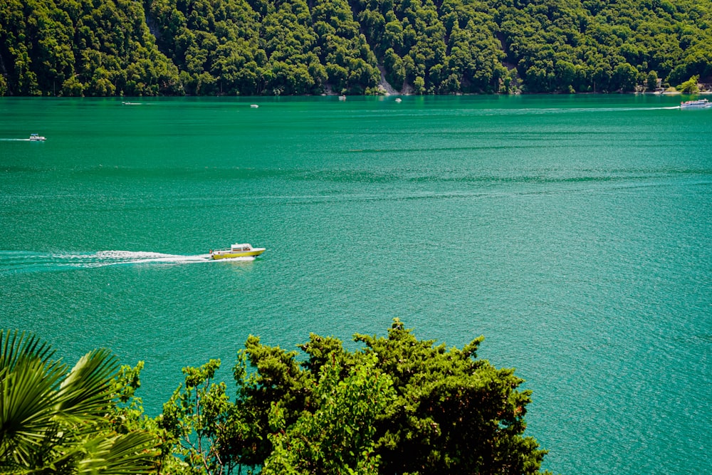 a group of boats on a body of water