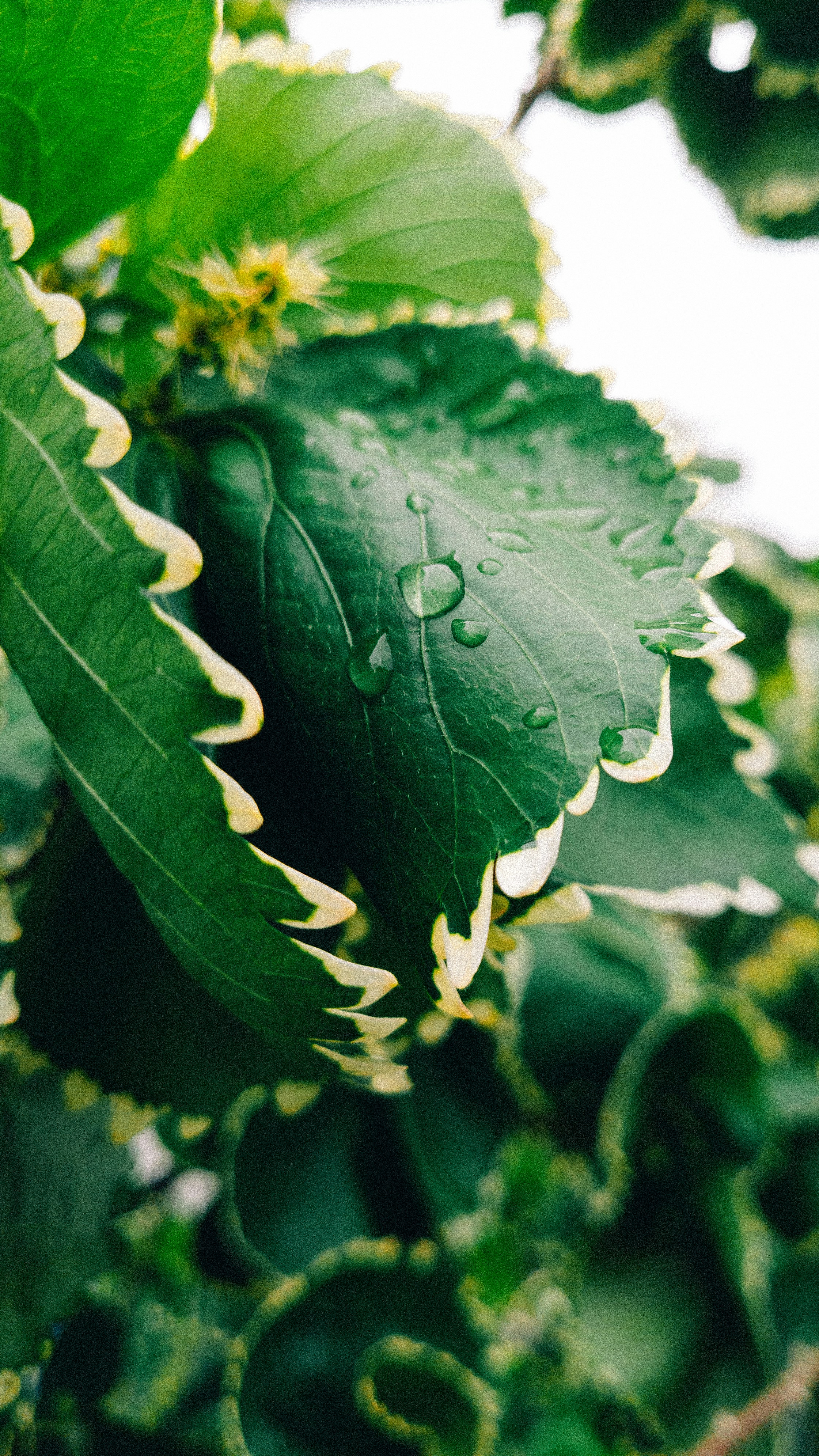 Photo by wanderteixeira