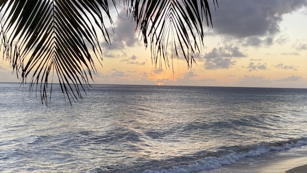 Basseterre Weather and Best Months to Visit: A Guide