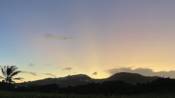 Basseterre Travel Guide: Exploring the Charm of Saint Kitts
